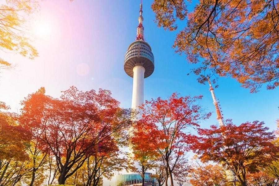 Tháp Namsan – biểu tượng của Seoul
