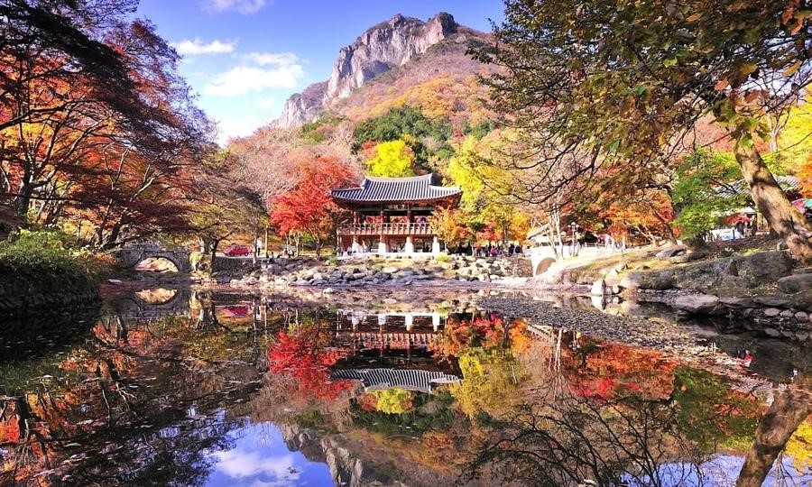 Cảnh quan lãng mạn vào mùa Thu của Hàn Quốc