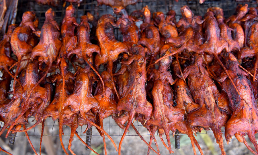 Về miền tây để được thưởng thức món thịt chuột thơm ngon, hấp dẫn, chuẩn vị