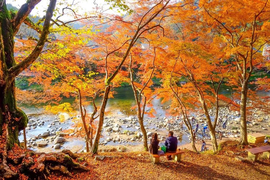 Khung cảnh mùa thu thơ mộng và trữ tình