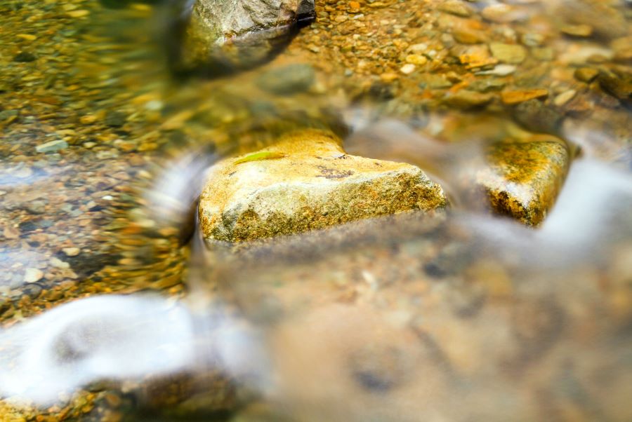 Khung cảnh thiên nhiên thơ mộng và bầu không khí trong lành