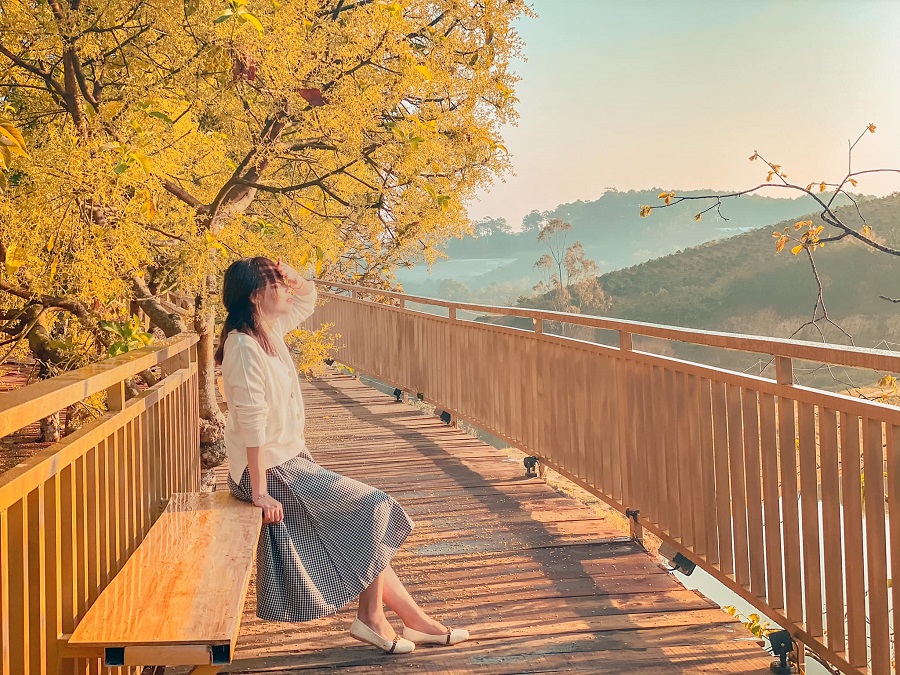 "Con đường Hàn Quốc" lãng mạn ngay giữa lòng Đà Lạt