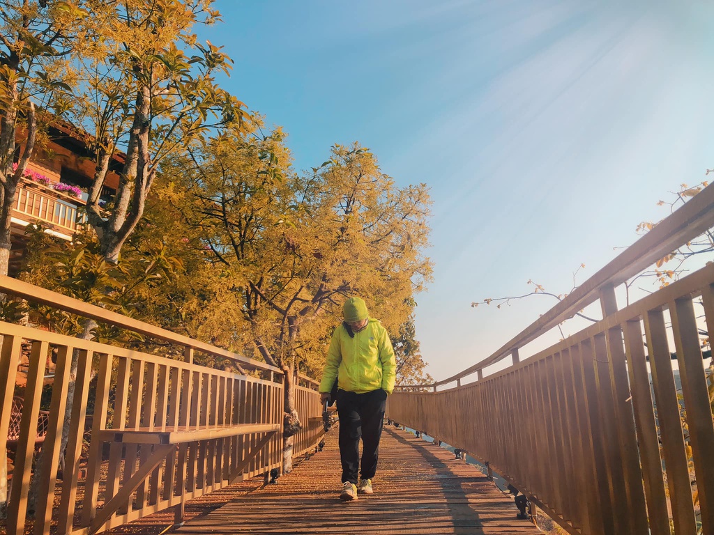 "Con đường Hàn Quốc" lãng mạn ngay giữa lòng Đà Lạt