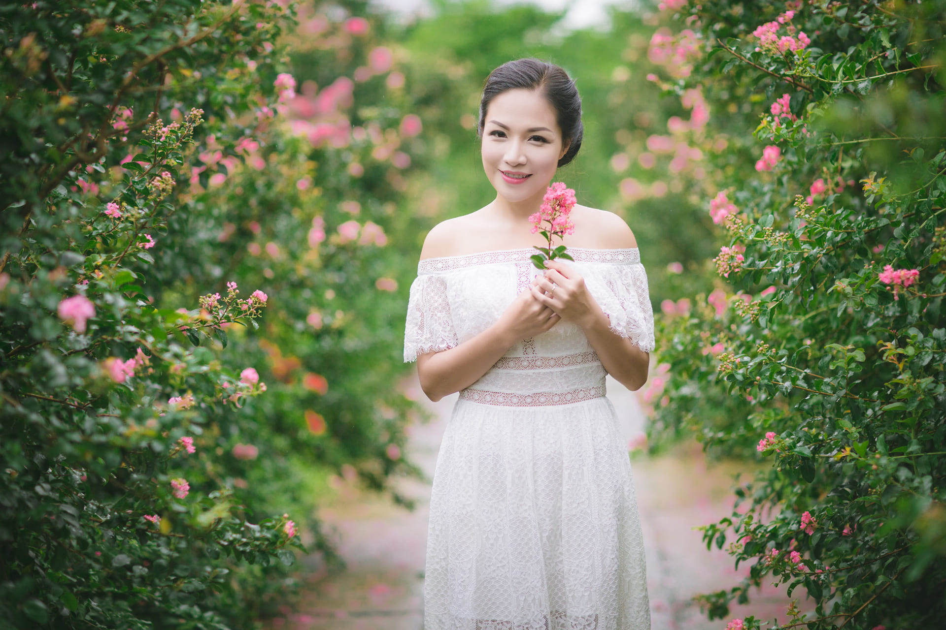 Con đường hoa Tường Vi đẹp như mơ giữa lòng Hà Nội