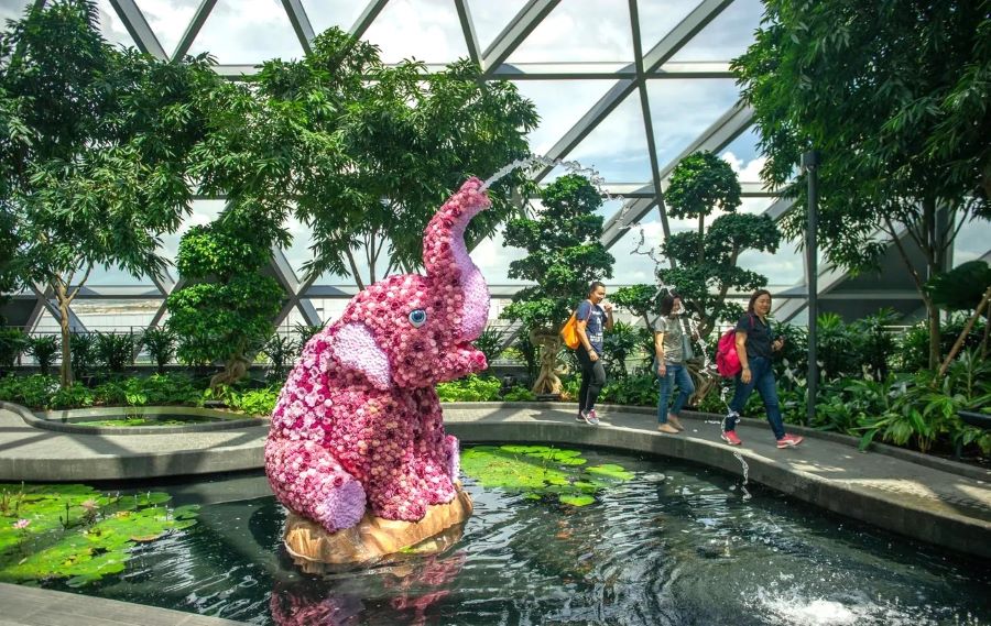 Công viên Canopy - Điểm dừng chân tuyệt vời cho du khách tại Singapore Top Ten Travel