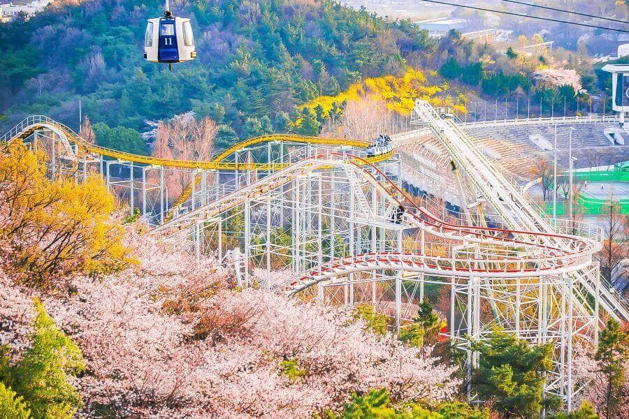 Nếu muốn trải nghiệm cảm giác mạnh vừa phải, bạn có thể thử sức với Camelback, tàu lượn siêu tốc với những cú trượt dốc và đổ đèo đầy kịch tính