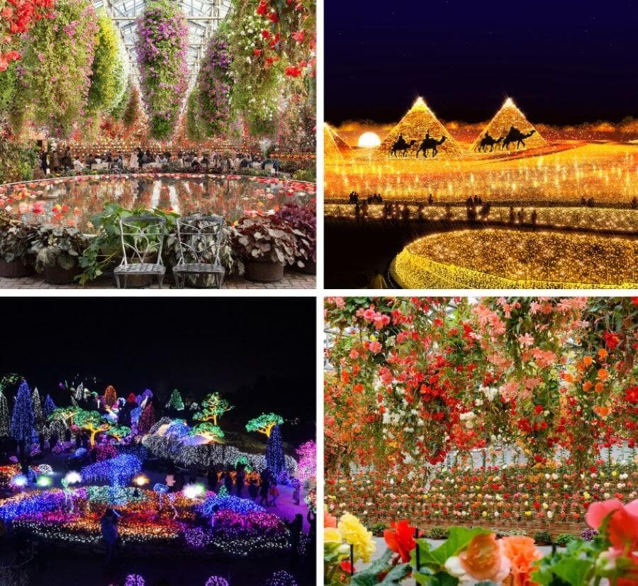 Công viên Nabana no Sato là một trong những điểm đến hấp dẫn nhất cho du khách khi đi du lịch Nhật Bản