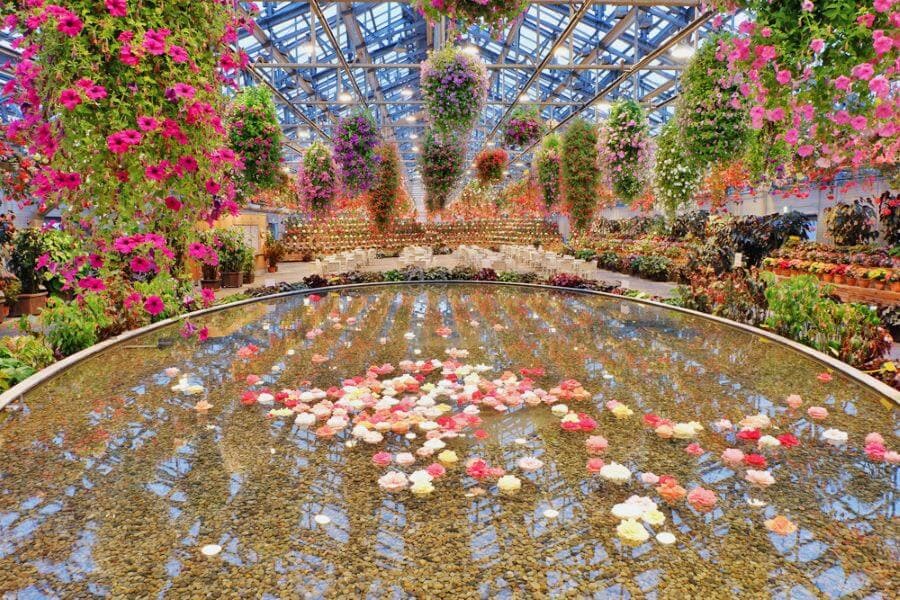 Vườn hoa Andes & Begonia là nơi trưng bày vô số loài hoa begonia rực rỡ sắc màu cùng với các loài hoa khác đến từ vùng núi Andes