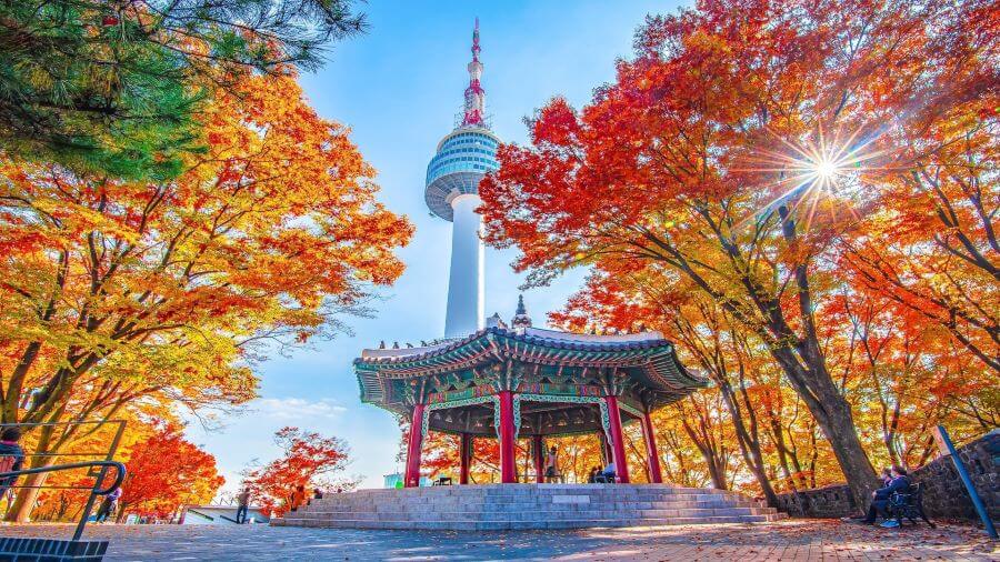 Công viên bao phủ ngọn núi Namsan cao 262 mét, mang đến một hệ sinh thái đa dạng và phong phú