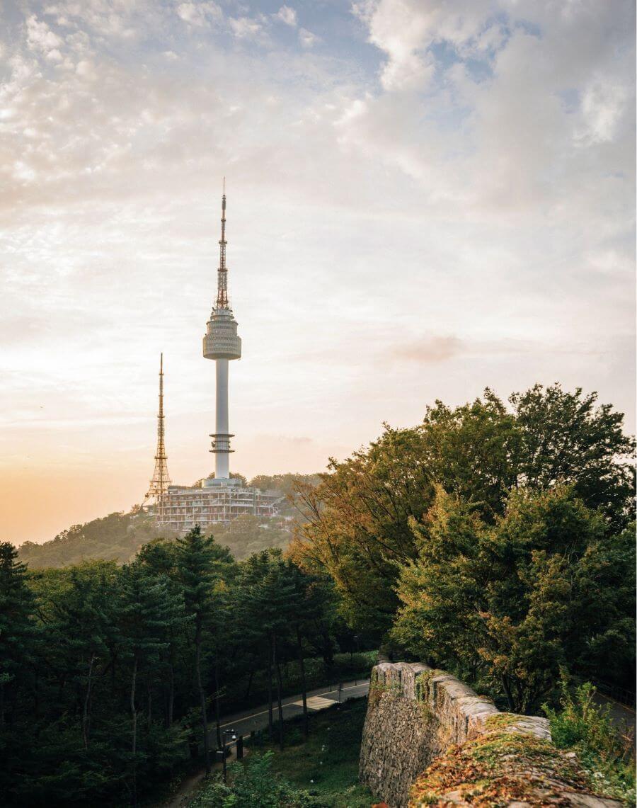Khung cảnh thiên nhiên tại Công viên Namsan là một trải nghiệm vô cùng tuyệt vời mà bạn không nên bỏ qua