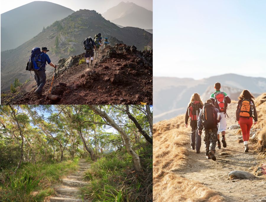 Hoạt động Trekking đi bộ xuyên qua rừng rậm và dọc theo bờ sông dành cho những người yêu vận động