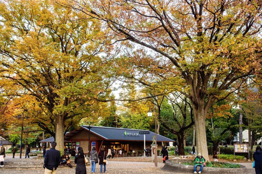 Mùa thu là một trong những mùa đẹp nhất để ghé thăm Ueno 