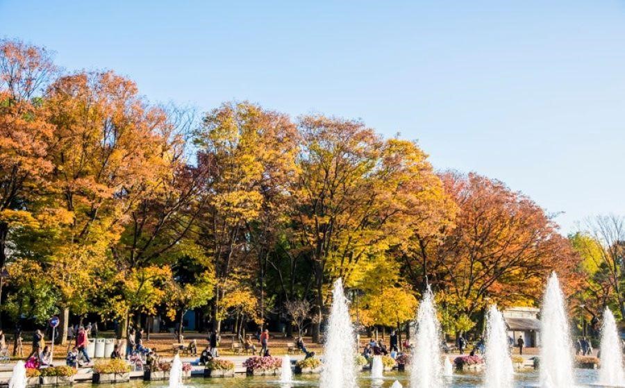 Thời tiết vào mùa thu tại công viên Ueno cũng khá mát mẻ 
