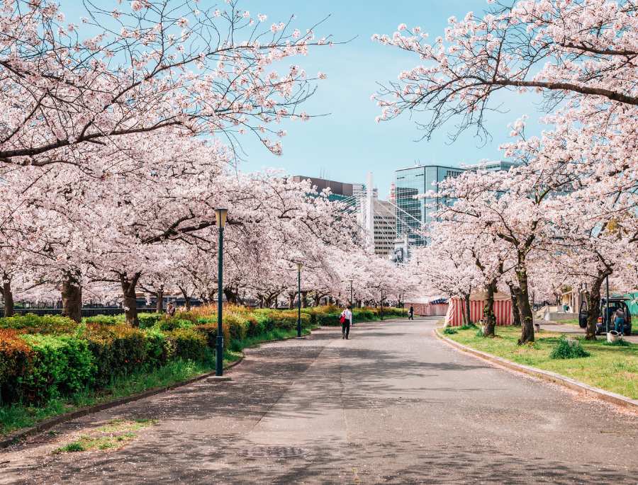Mỗi độ xuân về, Paris lại khoác lên mình một chiếc áo mới đầy quyến rũ