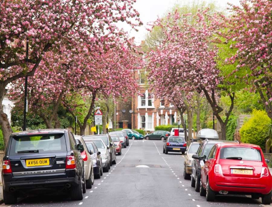 Những cung đường hoa anh đào rực rỡ tại Châu Âu