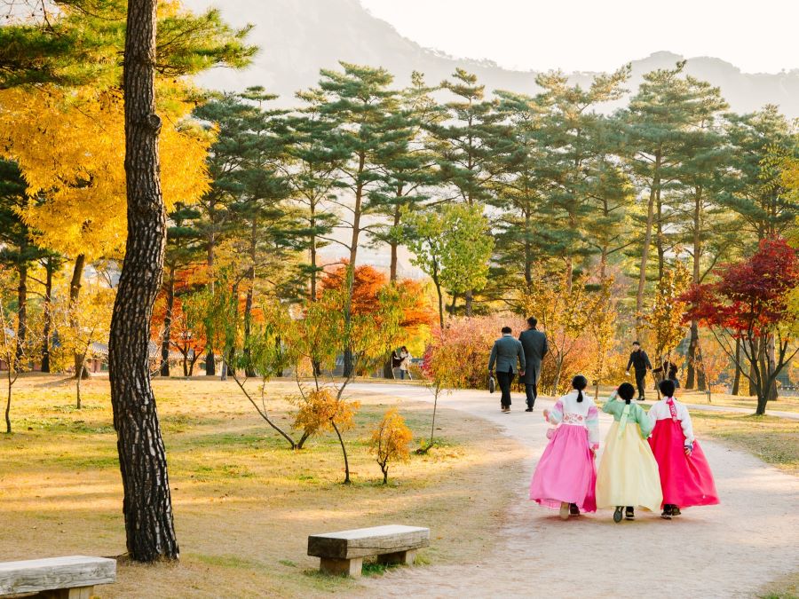 Tháng 10 là thời điểm toàn Hàn Quốc bước vào khoảnh khắc mùa thu lãng mạn rực rỡ