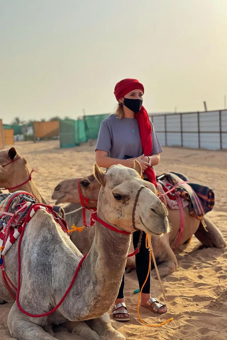 Cần chuẩn bị những gì khi đi cưỡi lạc đà?