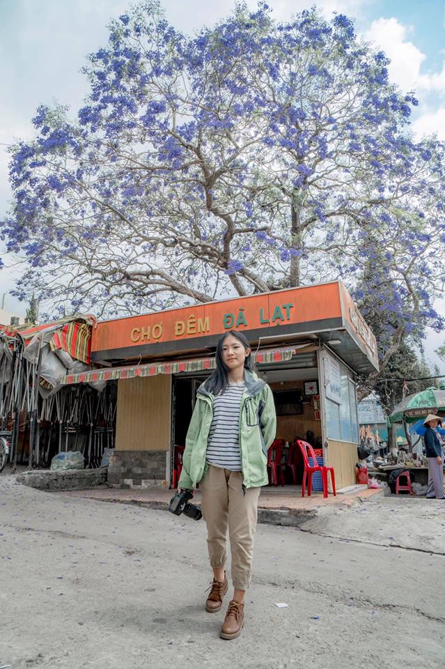 Phượng tím đẹp ngỡ ngàng như tranh vẽ