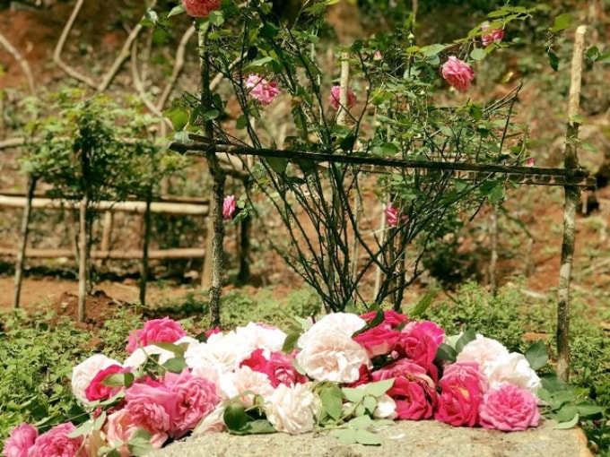 Hoa Sơn Điền Trang Đà Lạt