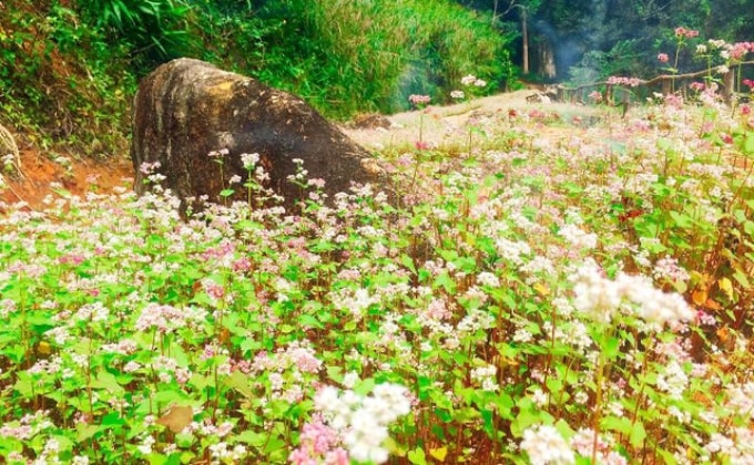 Hoa Sơn Điền Trang Đà Lạt
