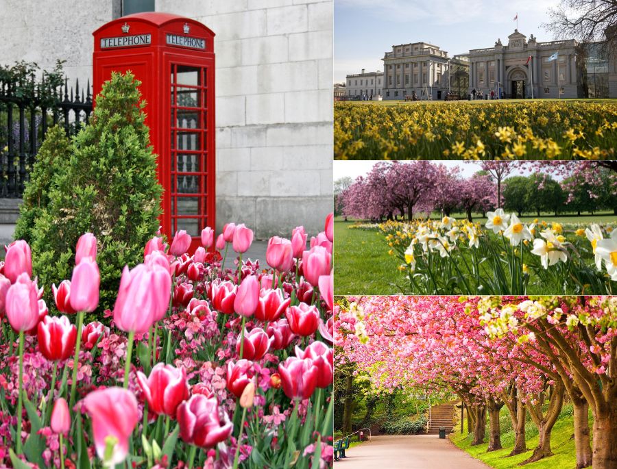 Mùa xuân là thời điểm vạn vật hồi sinh, cây cối đâm chồi nảy lộc