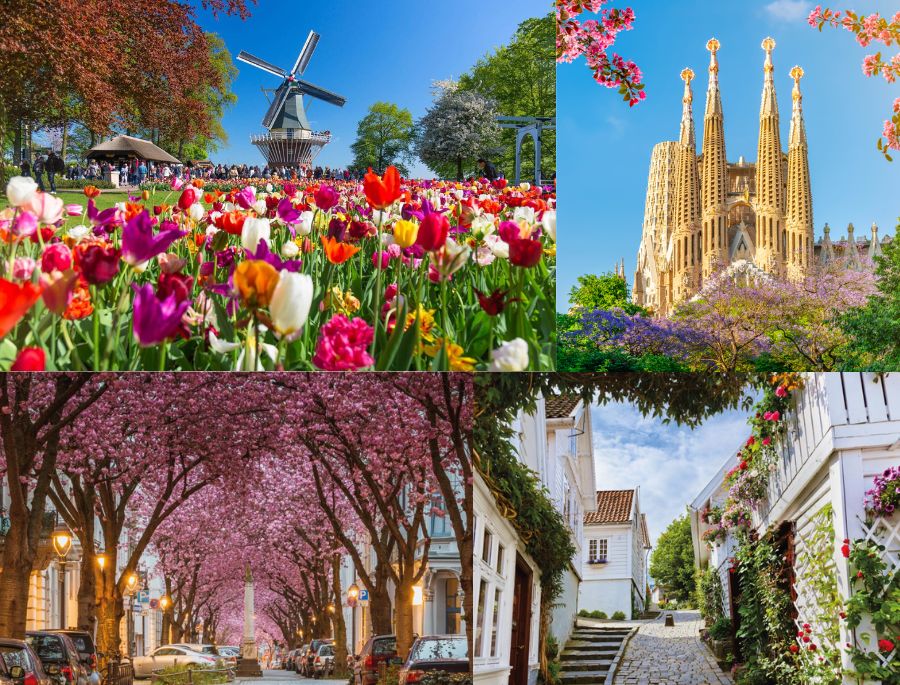 Khung cảnh rực rỡ vào mùa xuân với trăm hoa đua nở tại Trời Âu