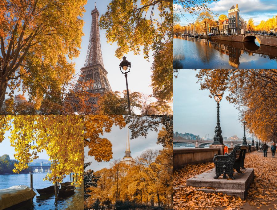 Khung cảnh ngập tràn sắc vàng vào mùa thu ở Châu Âu