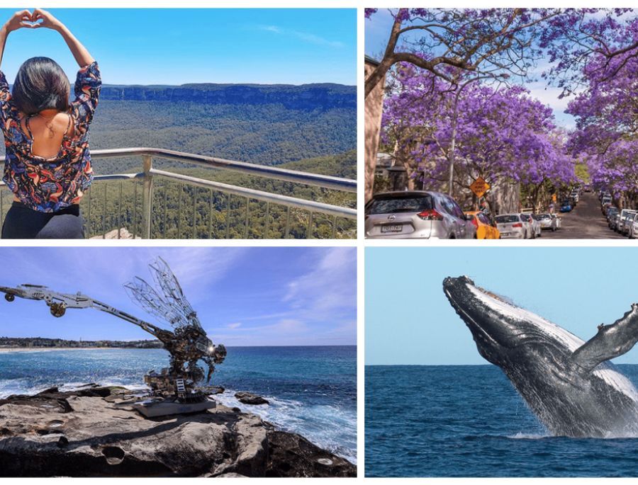 Vào mùa xuân, du khách có thể tham gia nhiều hoạt động hấp dẫn tại thành phố Sydney