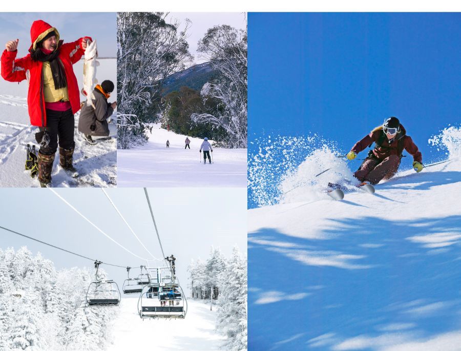 Các trải nghiệm mùa đông hấp dẫn khi du lịch Sydney