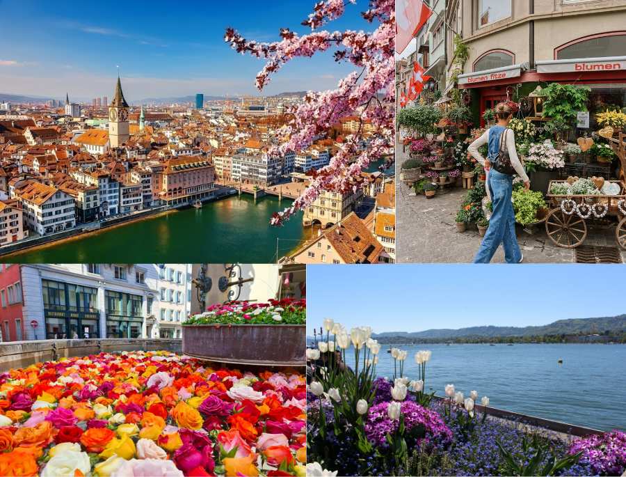 Vào mùa xuân, cây cối tại Zurich đâm chồi nảy lộc, hoa lá đua nhau khoe sắc.