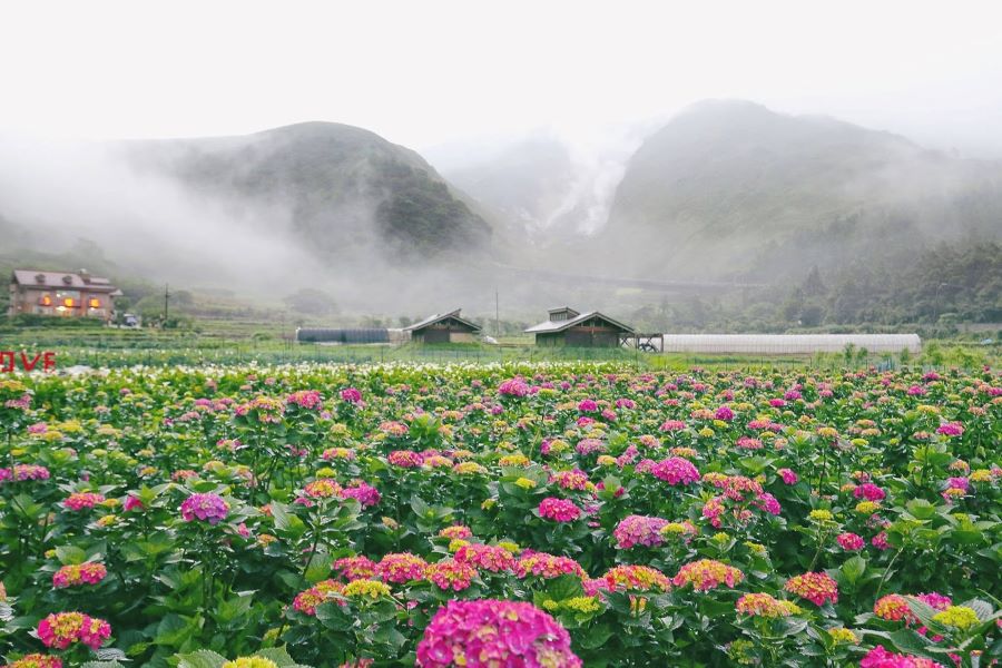 Nên tham quan công viên Dương Minh Sơn vào thời điểm nào?