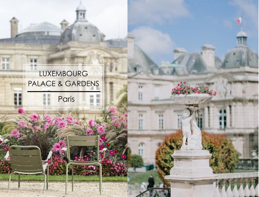 Vườn Luxembourg sở hữu khung cảnh tuyệt đẹp mỗi khi mùa hoa mộc lan nở rộ
