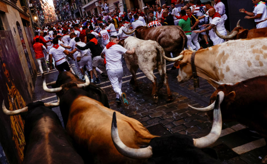 Lễ hội đua trâu Makepung, một truyền thống lâu đời của người dân Bali