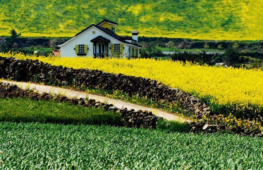 Đảo Cheongsando Hàn Quốc nổi tiếng là điểm đến lý tưởng dành cho những ai đang tìm kiếm một hòn đảo yên bình