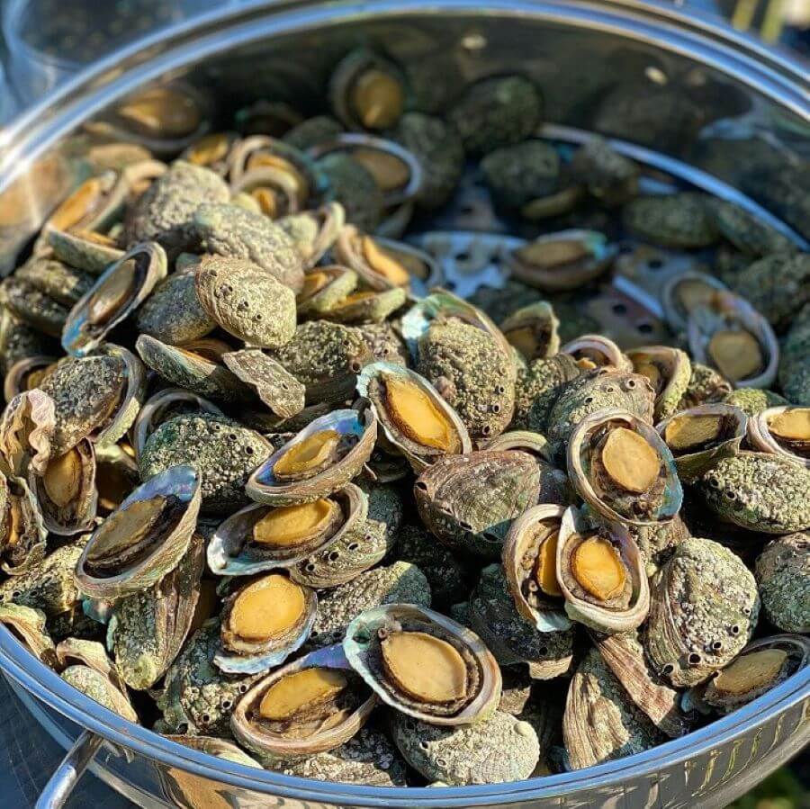 Bào ngư ở Cheongsando được đánh giá là một trong những món ăn ngon nhất của Hàn Quốc