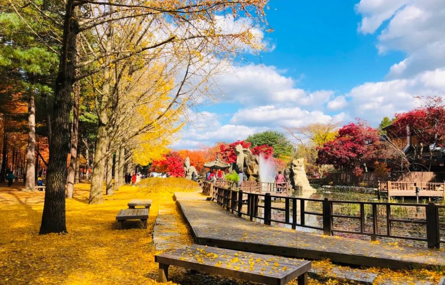 Nami đẹp như một giấc mơ, mãi chẳng muốn tỉnh giấc!