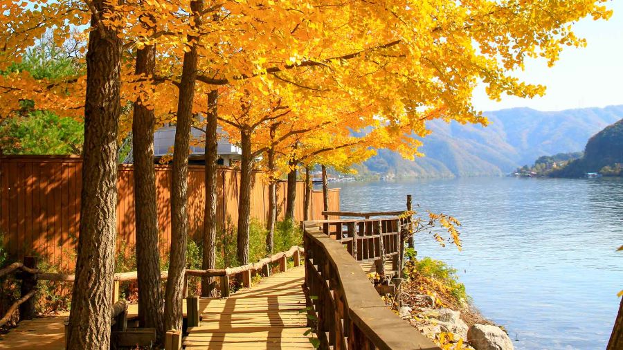 Nami sở hữu phong cảnh thiên nhiên êm đềm và thơ mộng