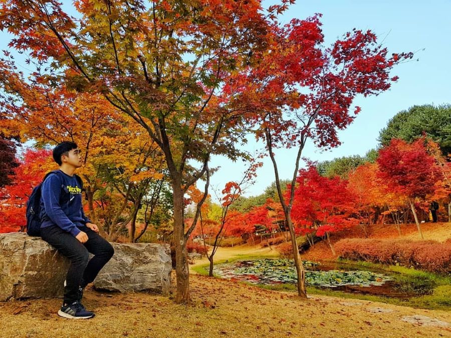 Du khách đừng bỏ lỡ những bức ảnh check-in tuyệt đẹp tại Nami nhé!