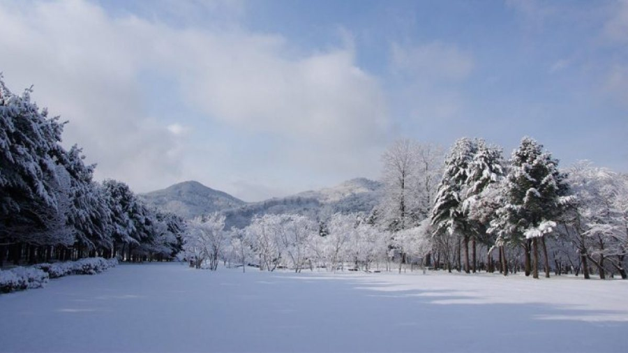 Vườn Dodamsambong là một trong những gợi ý hoàn hảo cho chuyến du lịch Hàn Quốc đến Nami sắp tới