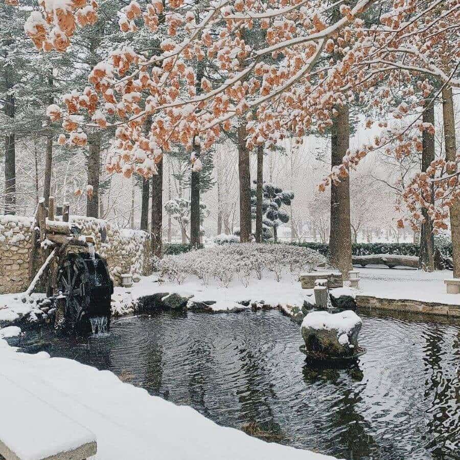 Mùa đông trên đảo Nami khoác lên mình một tấm áo trắng tinh khôi, biến hòn đảo thành một bức tranh tuyệt đẹp