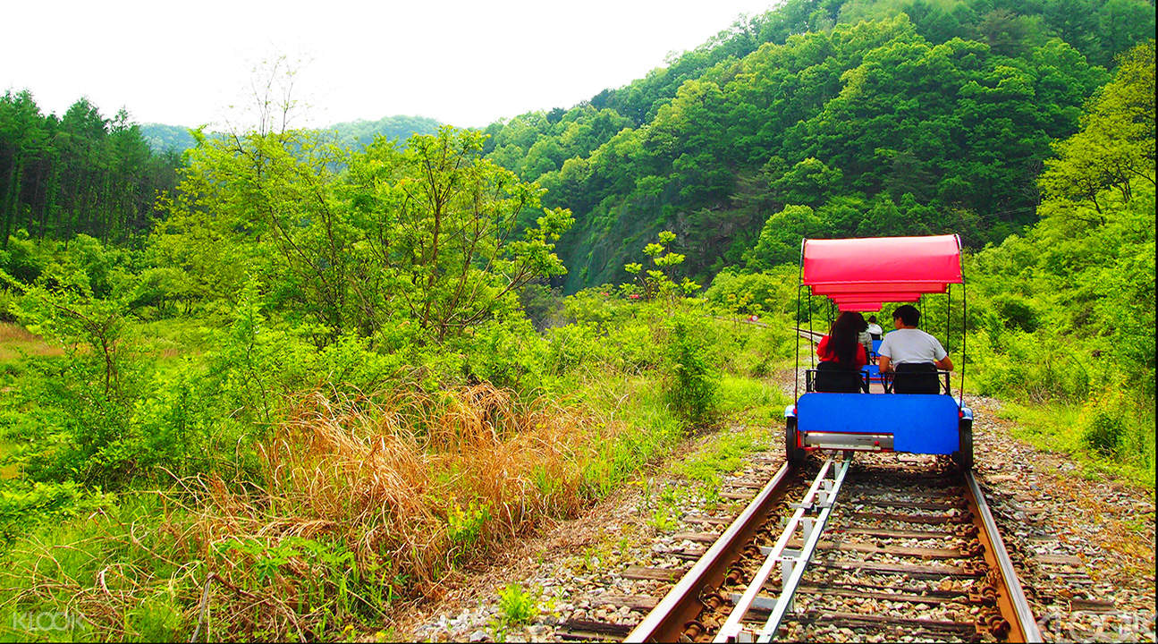 Đảo Nami - "Thiên đường" du lịch mùa hè lãng mạn tại Hàn Quốc 