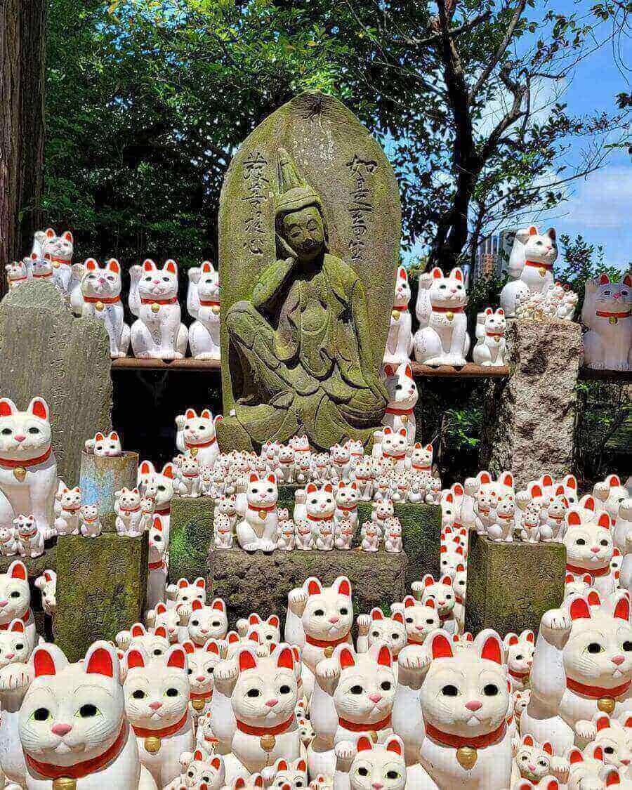 Không gian yên tĩnh, trang nghiêm tại đền Gotokuji sẽ giúp bạn tìm thấy sự bình an trong tâm hồn, tạm quên đi những bộn bề của cuộc sống