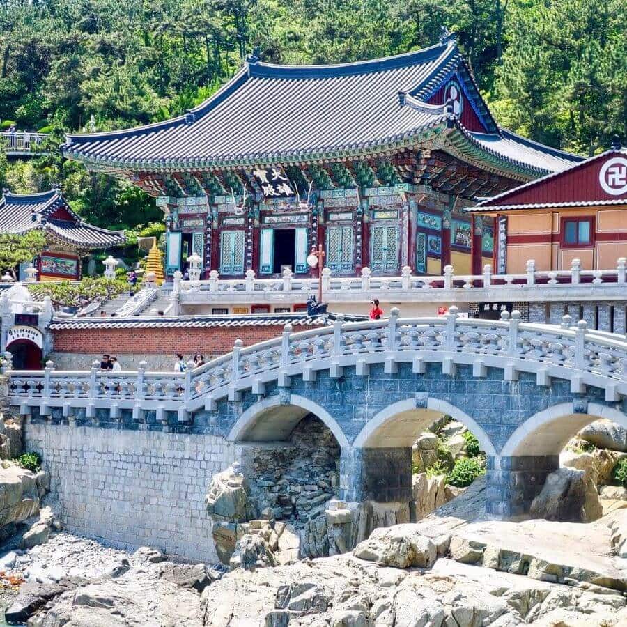 Lối vào đền Haedong Yonggungsa được tô điểm bởi những hàng cây xanh mát, những khóm hoa rực rỡ theo mùa vô cùng đặc biệt