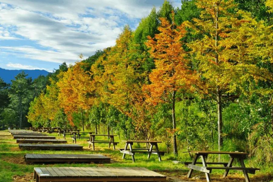 Tháng 9 là thời điểm Đài Loan bắt đầu chuyển sang mùa thu