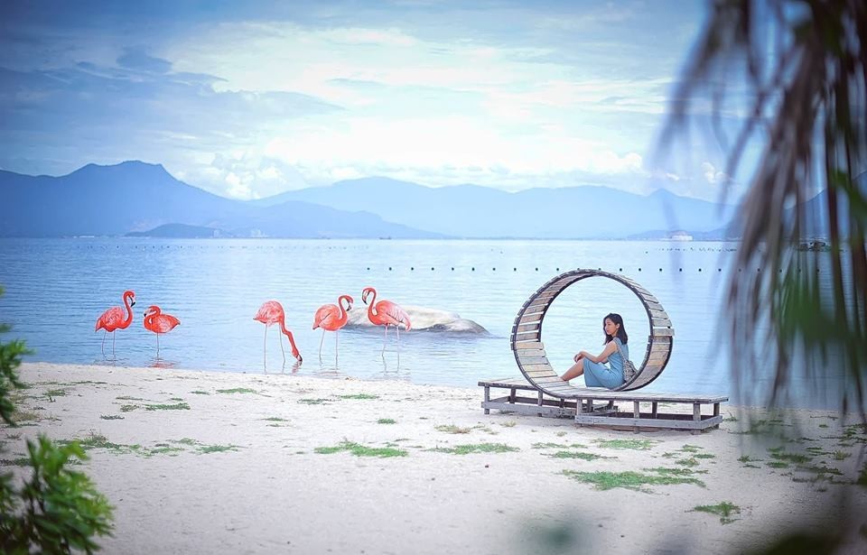 Địa điểm chụp ảnh "vạn người mê" ở mảnh đất Nha Trang