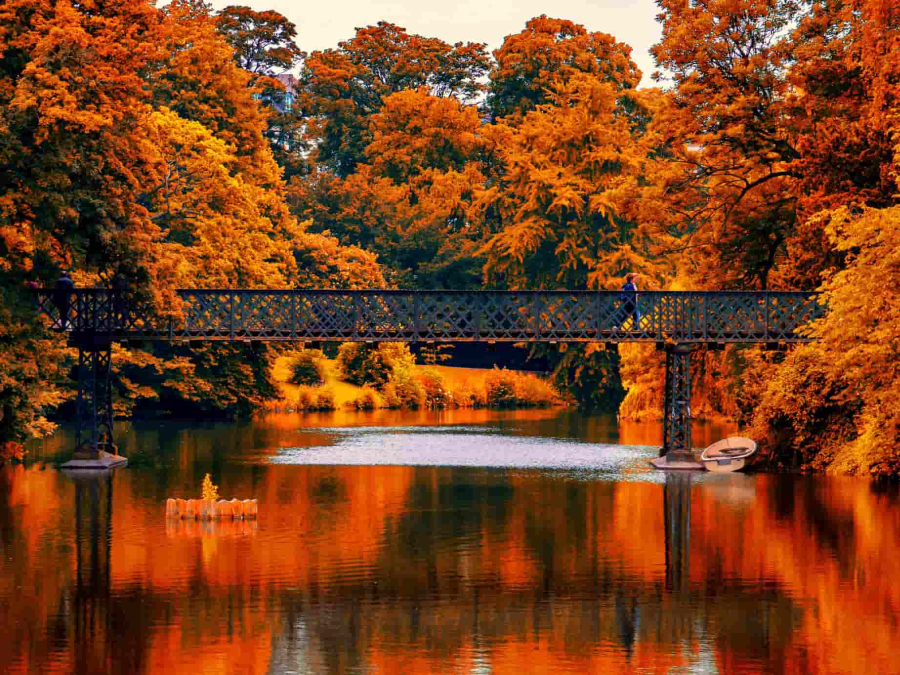 Khung cảnh Copenhagen, thủ đô xinh đẹp của Đan Mạch