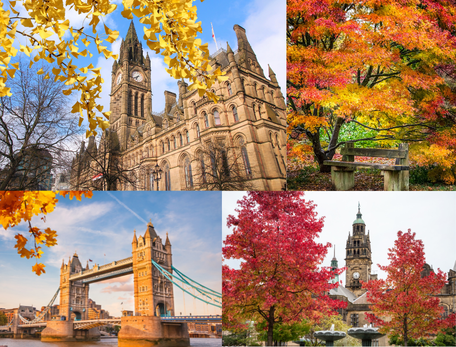 Thành phố London sôi động dần chuyển mình sang khung cảnh bình yên