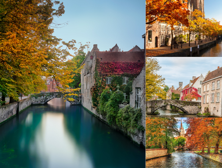 Bruges, thành phố cổ kính nằm dọc theo những con kênh thơ mộng ở Bỉ với làn nước trong xanh kết hợp lá vàng