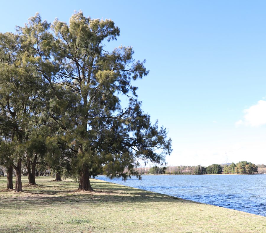 Khung cảnh yên bình tại khu vực hồ Burley Griffin