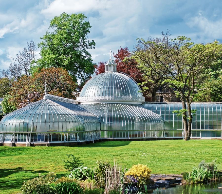 Vườn thực vật quốc gia Úc được mệnh danh là lá phổi xanh của thủ đô Canberra